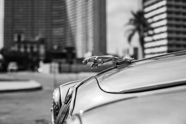 ПокетУин Казино Android/iOS приложение