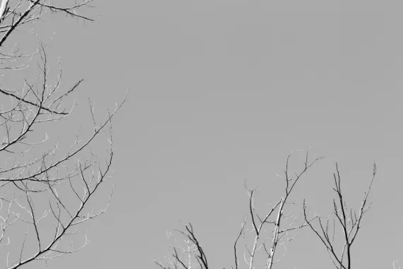 ПокетУин Казино Поддръжка